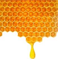 honey_comb.png