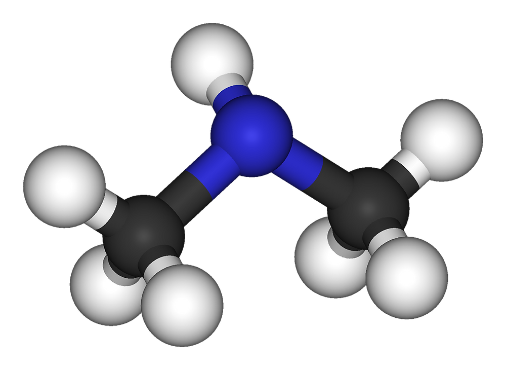 디메틸아민, c2h7n, (ch3)2nh, 치환기, 메틸기, dimethylamine, methyl group, substituent, 디메틸디티오카바메이트, dimethyldithiocarbamate, 지방족 아민, mfc