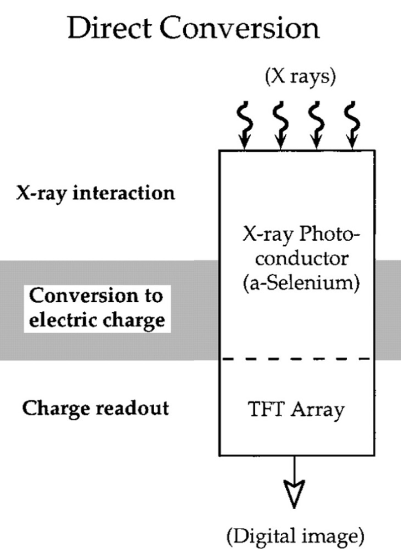 digital radiography, dr, cr, x-ray,