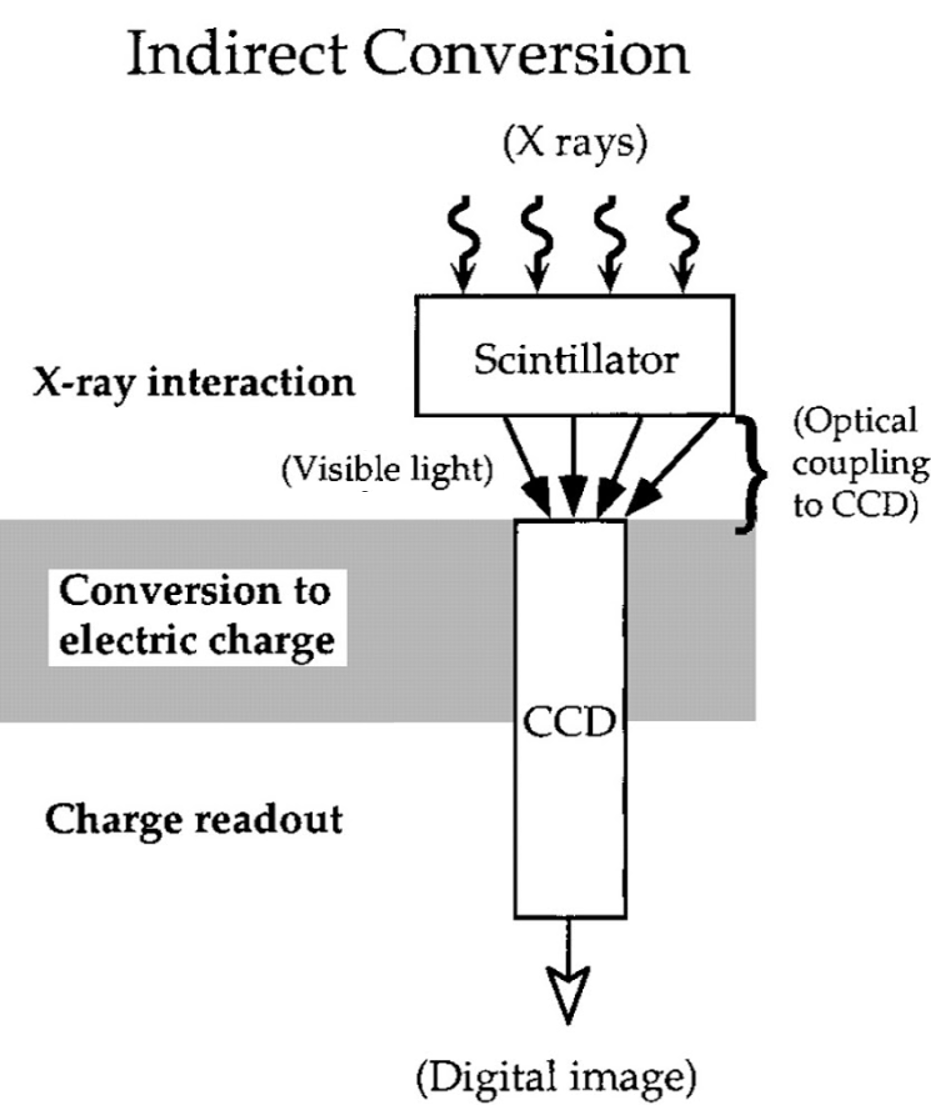 digital radiography, dr, cr, x-ray,