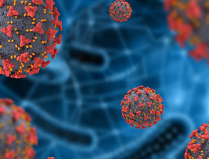 virus%202_edited.jpg