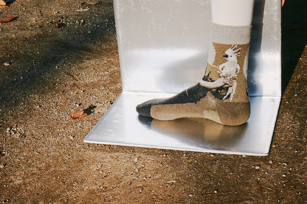 サムネイル： "Dance with Bird" Socks(Khaki)
