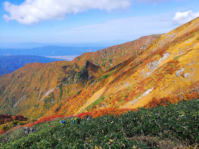 IMG_20221016_100853 (1).jpeg