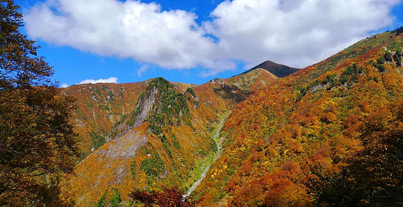 IMG_20221016_112252 (1).jpeg