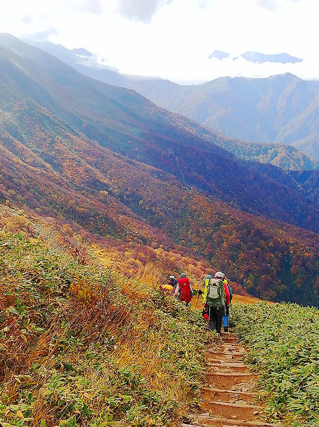 IMG_20221016_095708 (1).jpeg