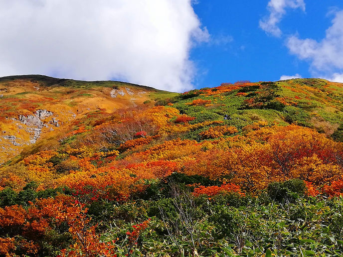 IMG_20221016_103028 (1).jpeg