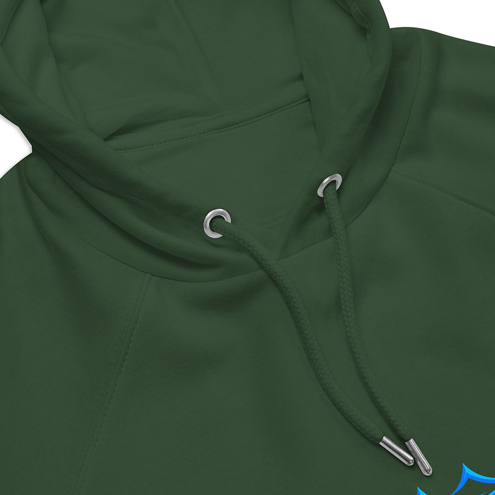 Thumbnail:  Feesh Gear unisex eco raglan hoodie