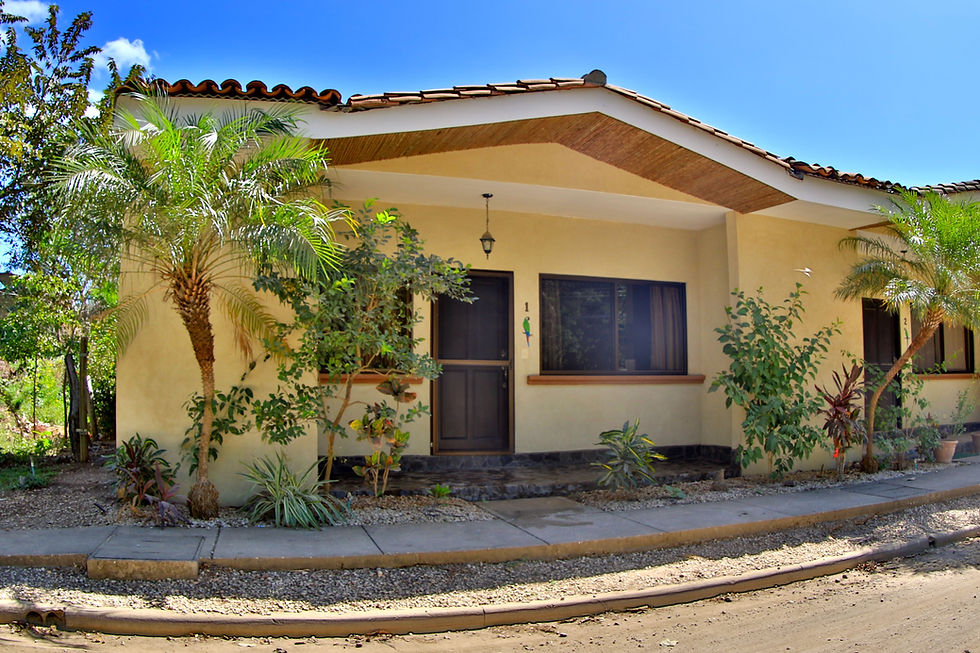 Matapalo, Playa Grande