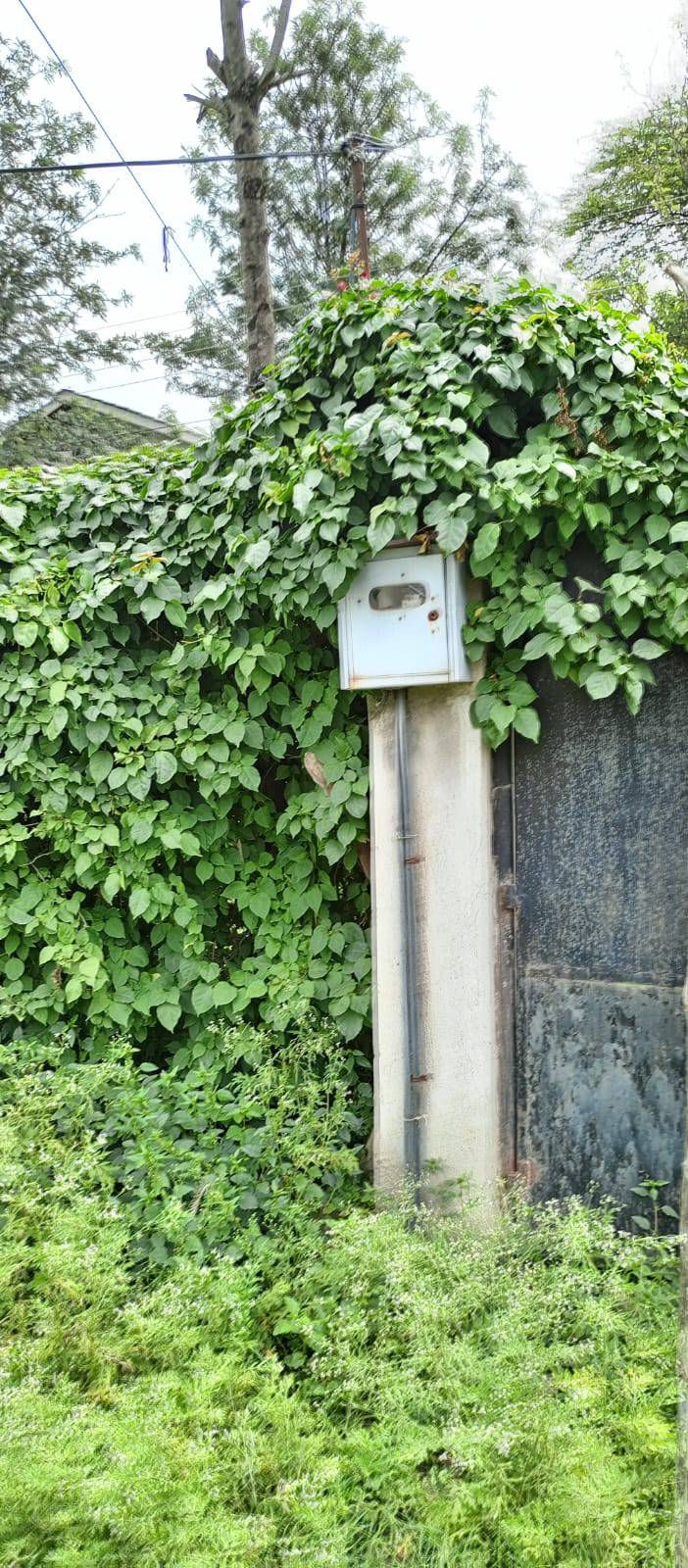 Thumbnail: Prime land for sale in Kitengela