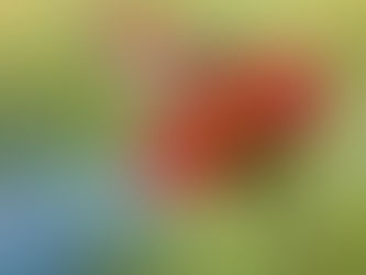 Developing a Growth Mindset: Unlocking Your Potential