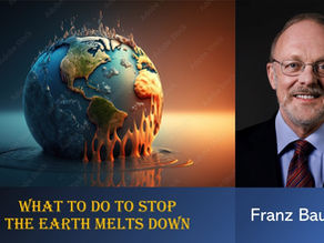 Franz Baumann "What to do to stop the earth melts down"