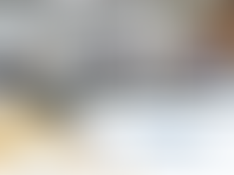 The report of the Tokyo Peacebuilding Forum 2025 is published. (14/2/2026)