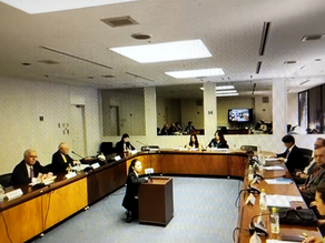 Global Governance: Emerging Role of global institutions and Japan in the 21st Century