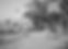 Screenshot 2024-03-22 at 1_edited.jpg