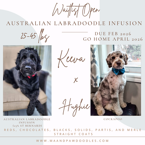 Brown Customer before and after Instagram Post (14).png