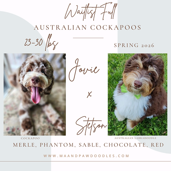 Brown Customer before and after Instagram Post (13).png