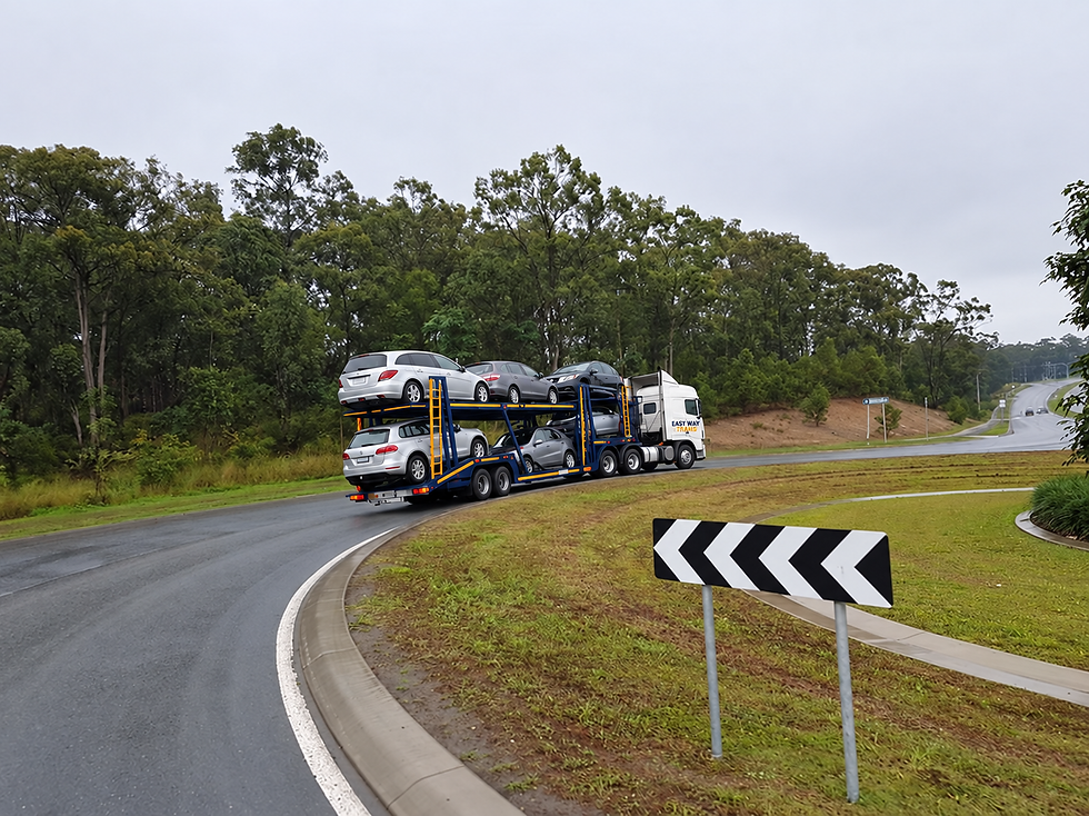 Easy Way Trans winding road transport.png
