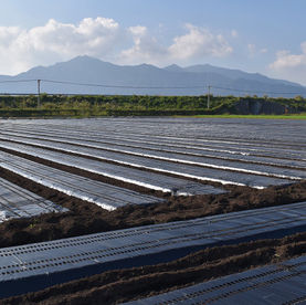 太陽熱養生処理の準備