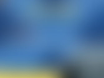 Forklift Operator – Bekasi / Karawang