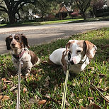 Coco and Sally.jpeg