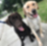 Sven and Austin.jpeg