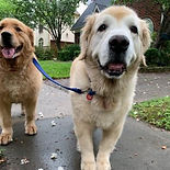 Duke and Jack.jpeg