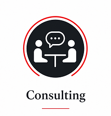 Consulting Services