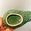 Thumbnail: Vintage Portugeuese avocado dishes