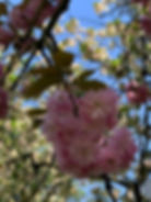 86630e97-6614-44ff-a581-6cd5b277744f