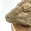 Thumbnail: Ram's head