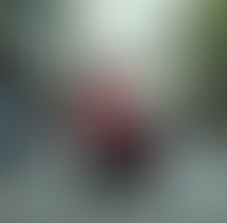 Stark Bike Rentals in Singapore Make Commuting Easy