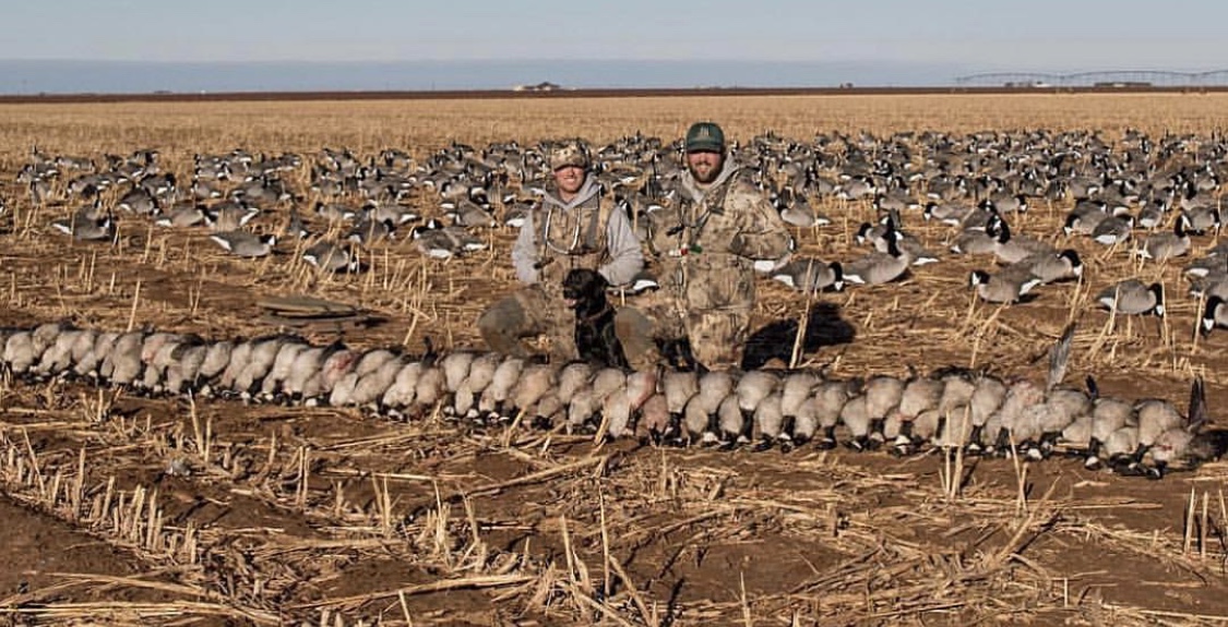 Dive Bomb Industries S3 Mallard Sock Decoys