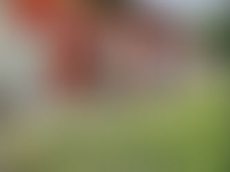 Withington Girls School & Oskarwitha.K Mural