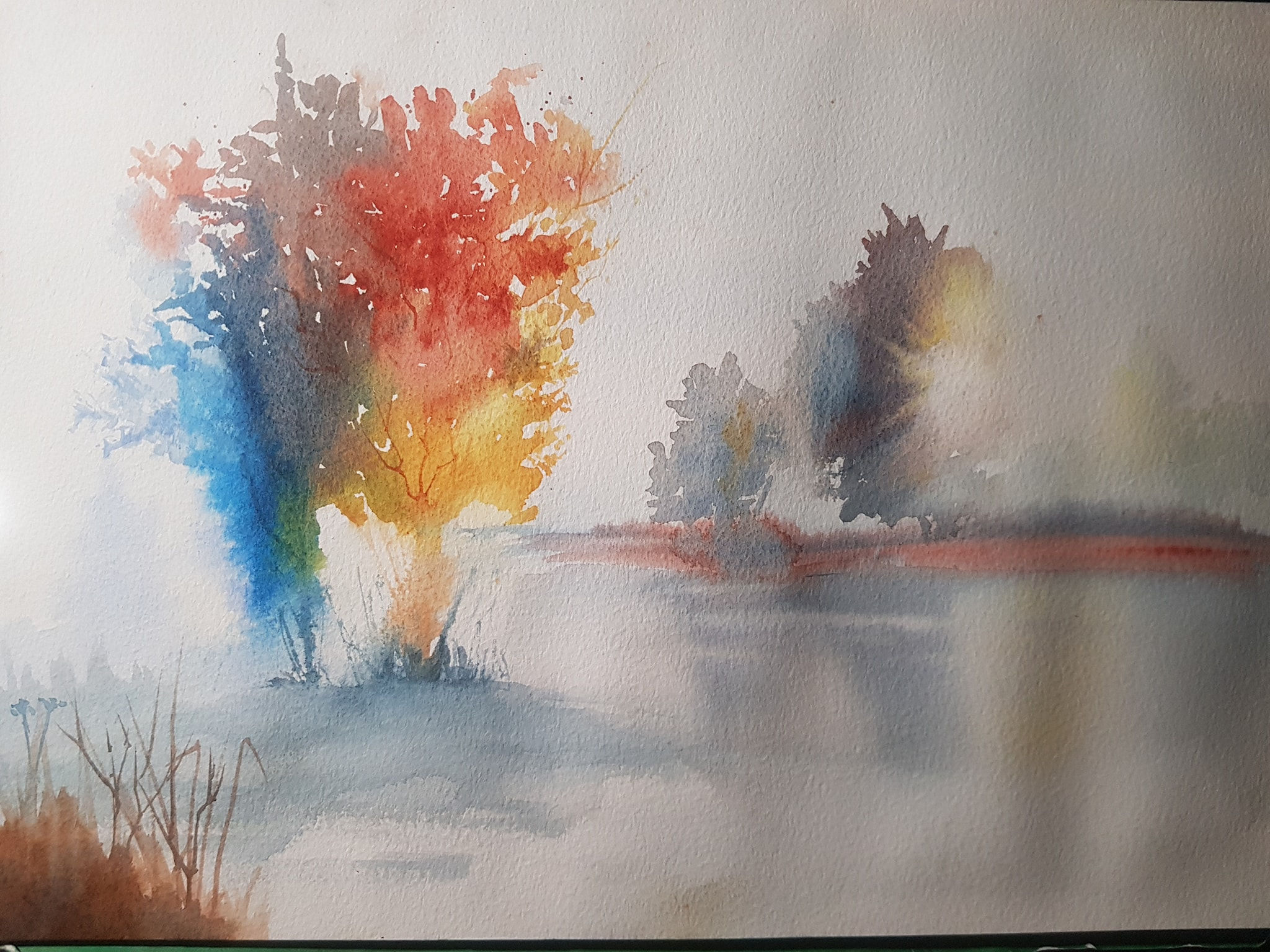 Dawn Light