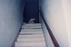 Bernardo na casa da rua Guaicuí II.png