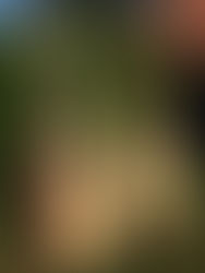 School's out for the summer