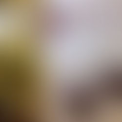 Rosettes and Glitter - week 10 with LGRP