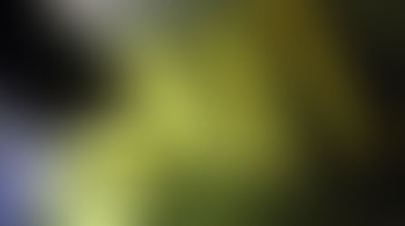 Leonardo Guitar Research Project 101