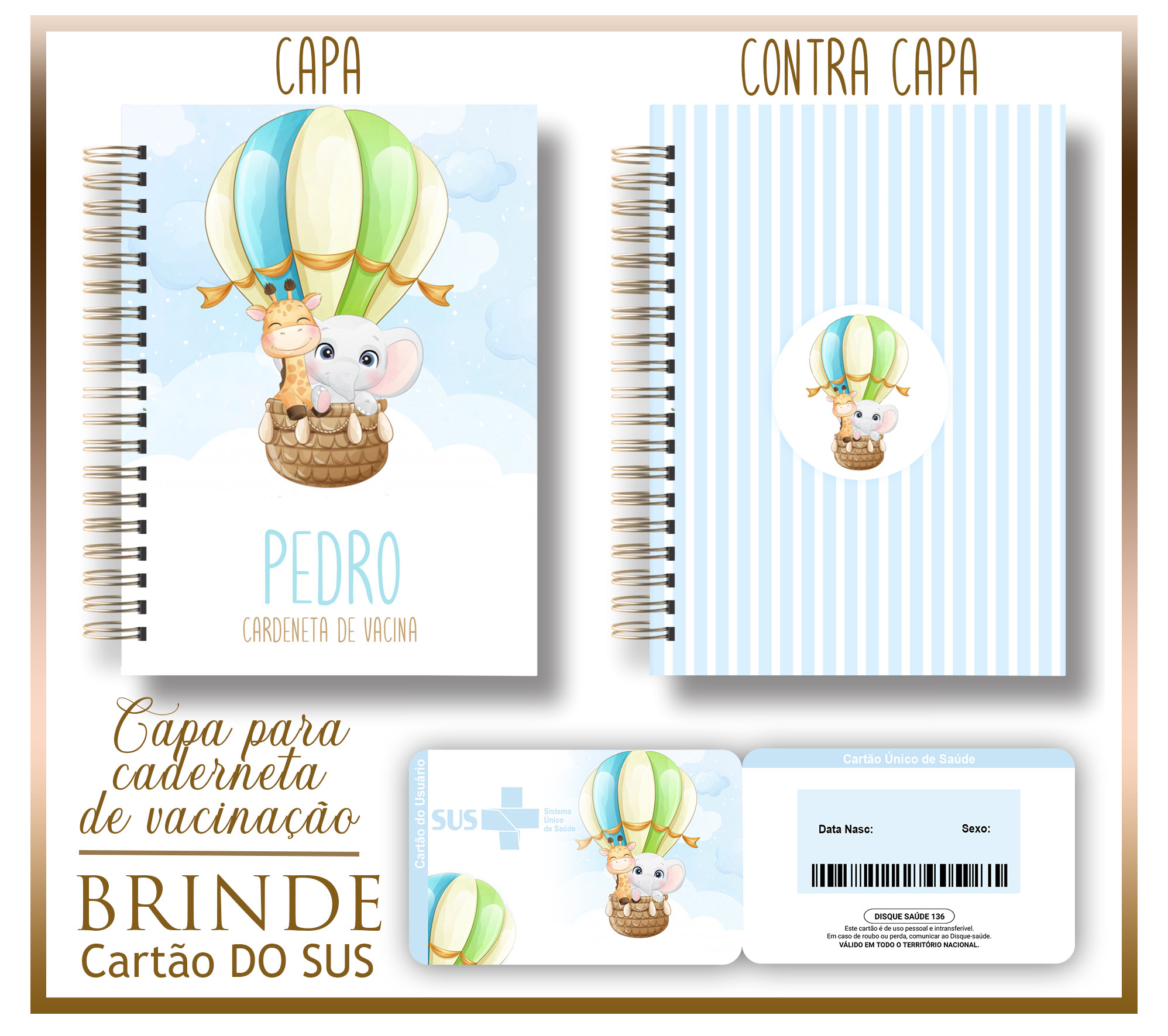 Caderneta de Vacina Animais Baloeiros