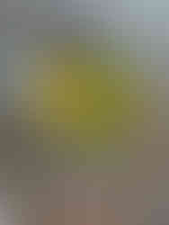 Custom logo for Door County Brewing Co Beer Pong Hall