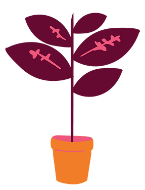 Whimsical illustration of a pink houseplant in an orange pot