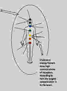 This image has an empty alt attribute; its file name is chakras-image.jpeg