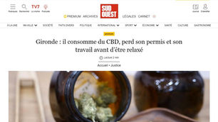 Test salivaire positif au stupéfiant et CBD: le cabinet obtient la nullité de la procédure et la relaxe pour un chauffeur routier