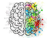 brain.jpeg