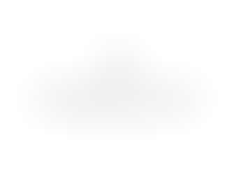 Formal Wear and Elegant Fashion