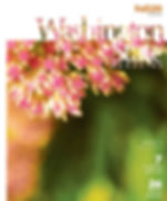 $25 Donation To Washington State Magazine