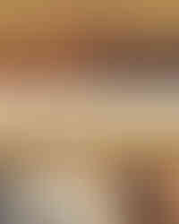 Full brand identity for Example 2 with cohesive colors, fonts, and styled applications demonstrating brand consistency