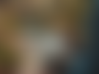 Person sketching in a field of flowers with the Wildberry Studio logo overlaid for the brand identity cover.