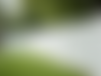 Secure Fencing Choices: Effective Security Fencing Options for Your Property