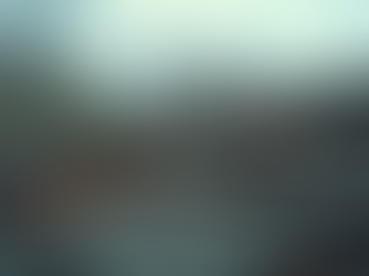 Your Guide to the Storm Roof Repair Process: Effective Storm Damage Roof Repair Tips